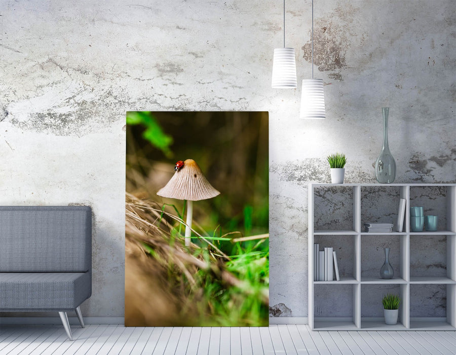 Ladybug Mushroom Wall Art - Handmade Canvas Print | Vibrant Bedroom Decor