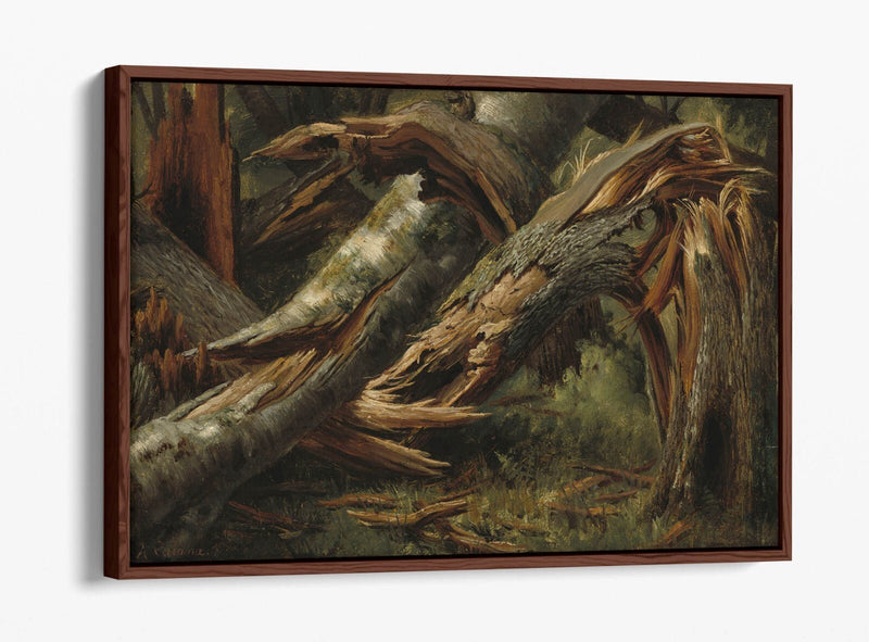 Float Effect Canvas Art | Alexandre Calame Fallen Tree | Ready To Hang Wall Decor