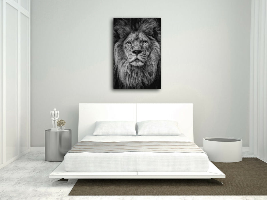 LION HEAD BLACK AND WHITE CANVAS WALL ART PRINT ARTWORK STRENGTH COURAGE