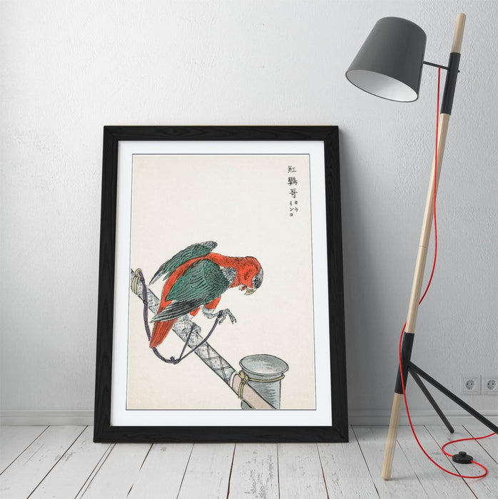 Framed Wall Art - Numata Kashu Macaw Poster Print | Handmade UK Woodgrain Frame