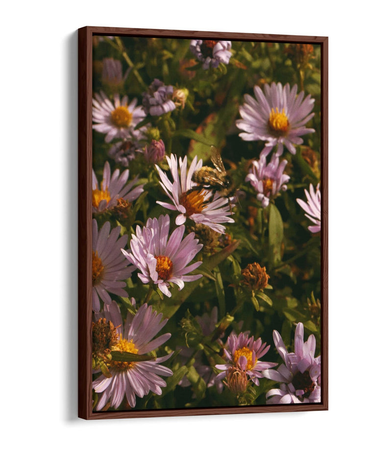 Canvas Wall Art - Grainy Bee On Flowers | Handmade Vibrant Floral Artwork, 30mm Deep Frame