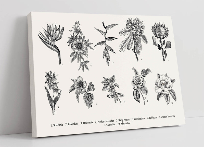 Flower Canvas Wall Art – Handmade Floral Bedroom Print With Labelled Flower Art