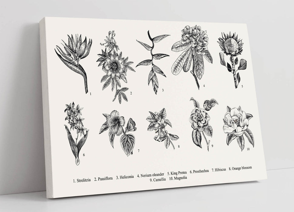 Flower Canvas Wall Art – Handmade Floral Bedroom Print With Labelled Flower Art