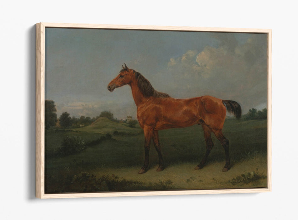 Canvas Wall Art - Edmund Bristow Bay Horse Float Effect Handmade Print