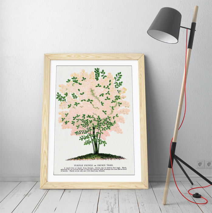 Framed Wall Art Poster - Purple Fringe Tree Print | Handmade UK Wall Art, Matte Paper