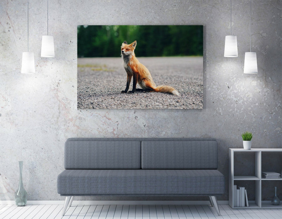 Baby Fox Canvas - Cute Wildlife Wall Art Print | Handmade 30mm Deep Frame