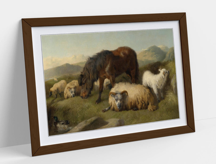 Framed Wall Art – Goats Sheep Pony Vintage Animal Print With Woodgrain Faux Frame