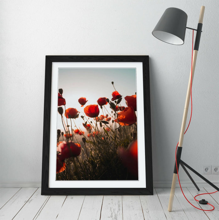RED POPPIES FLOWER FIELD -FRAMED WALL ART PICTURE PRINT- PHOTOGRAPHY