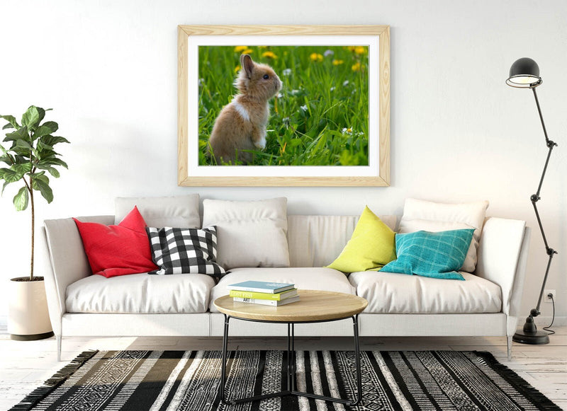 Bunny Rabbit Wall Art – Framed Small Bunny Decor Poster With Woodgrain Frame