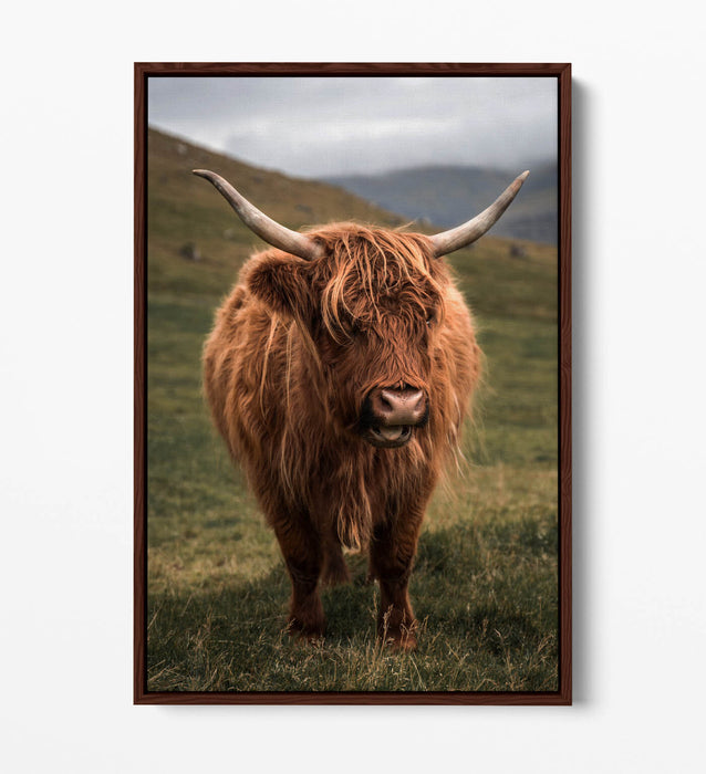 Canvas Wall Art - Highland Cow Print With Floating Canvas Frame | UK Made Home Decor
