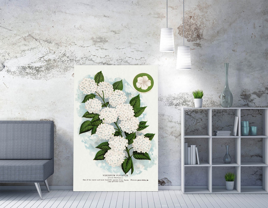 Japanese Snowball Flower Canvas Wall Art – Premium Floral Artwork Print