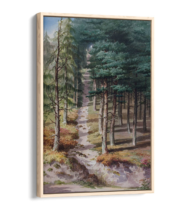 Float Effect Canvas Art - Elijah Walton Rednal Wood | Premium 30mm Deep Frame