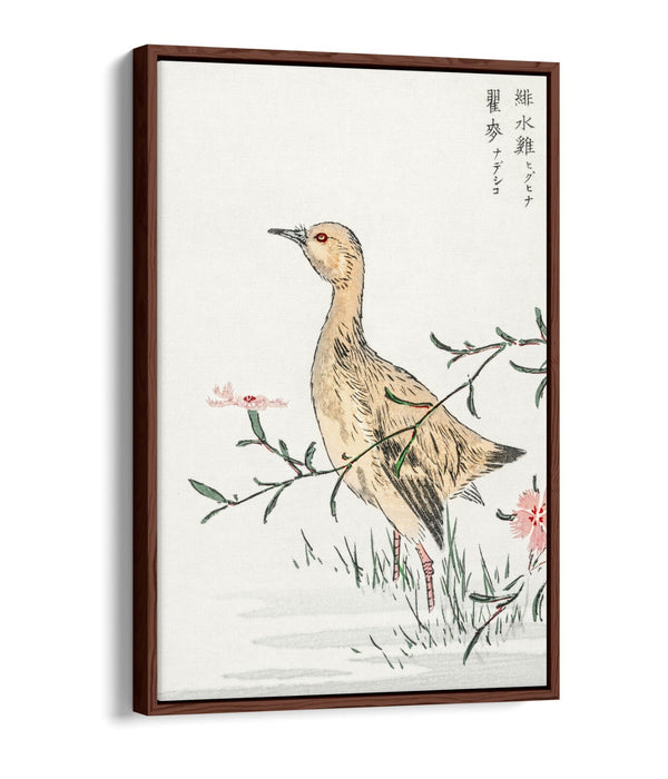 Float Effect Canvas Art – Eastern Redshank & Pink Flower | Premium Wall Decor