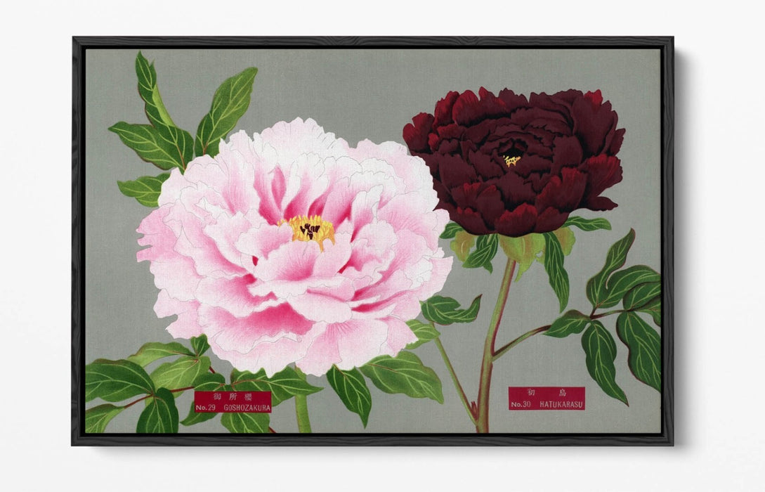 Vintage Canvas Wall Art – Peony Blossom Decor With Float Effect Frame, Handmade UK