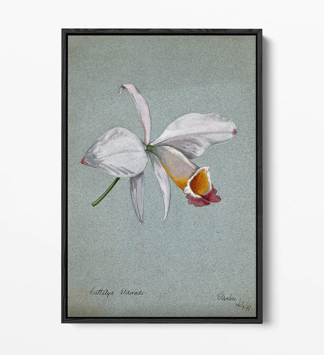 AN ORCHID WATERCOLOUR ILLUSTRATION HOME DECOR FLOAT EFFECT CANVAS WALL ART PRINT