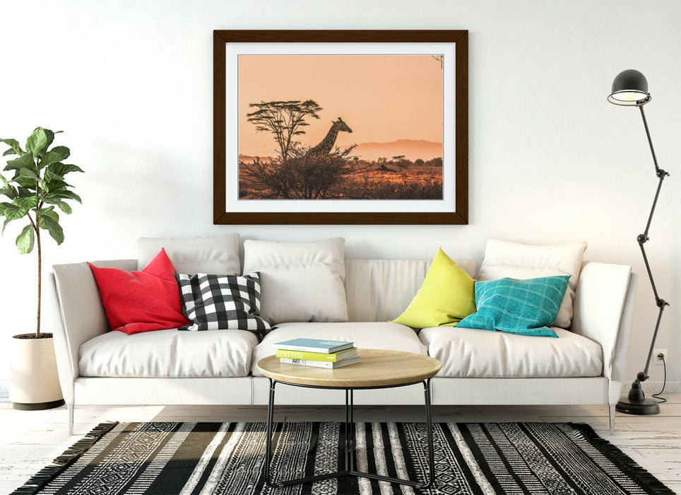 GIRAFFE SAFARI SUNSET -ART FRAMED POSTER PICTURE PRINT- WILDLIFE PHOTOGRAPHY