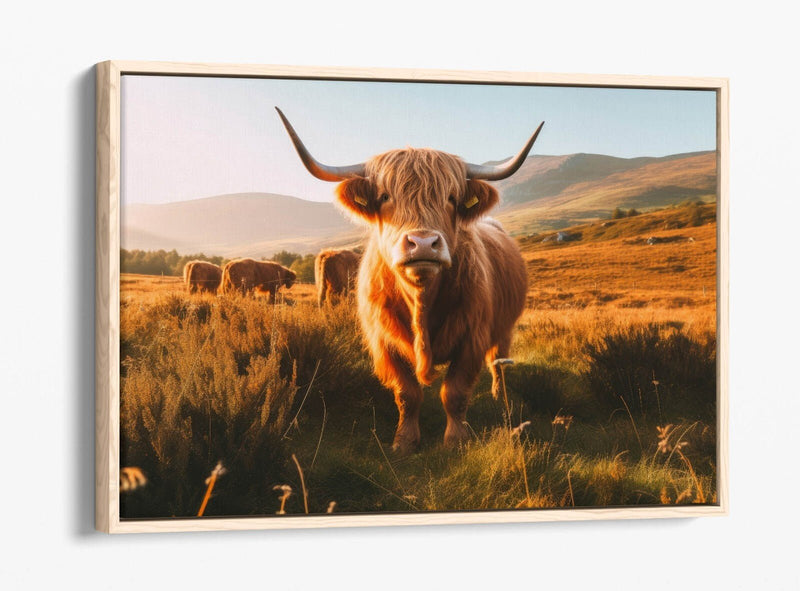 Float Effect Canvas - Highland Cows Print | Premium Varnish Finish Wall Art