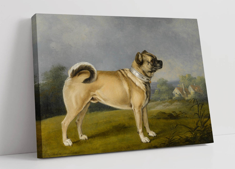 Canvas Wall Art - Henry Bernard Chalon Favourite Pug Dog Print, Ready to Hang