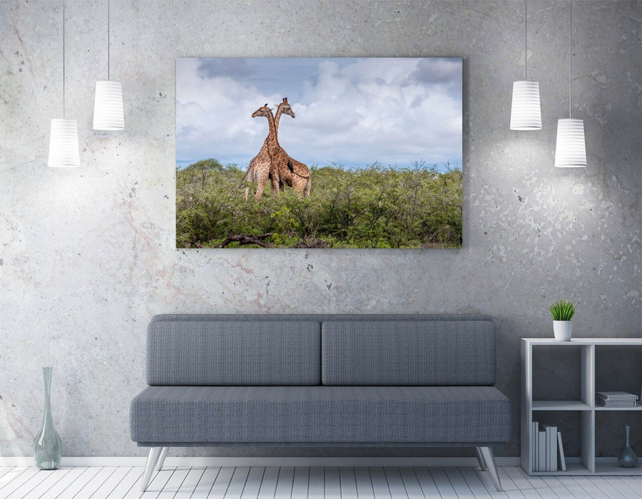GIRAFFES IN LOVE -CANVAS WALL ART PRINT ARTWORK ANIMAL FRAMED- ANIMAL PHOTO