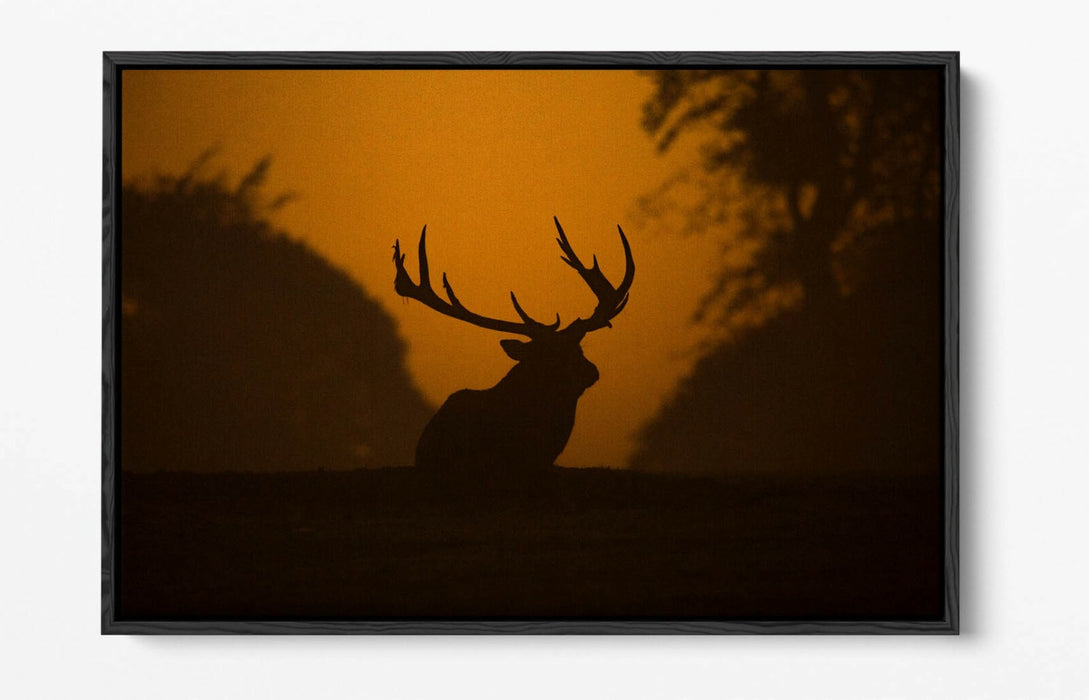 STAG SILHOUETTE SUNSET -FLOAT EFFECT CANVAS WALL ART PIC PRINT- ANIMAL PHOTO