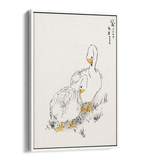 Canvas Wall Art Print – Duck And Young Grass On Float Effect Canvas Frame