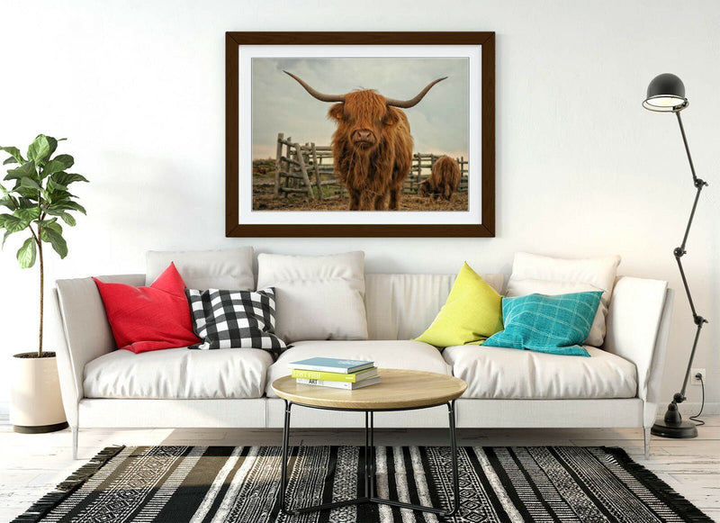 Highland Cow Wall Art - Rustic Farm Decor Framed Animal Poster Print