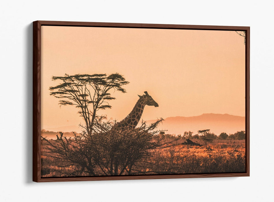 GIRAFFE IN THE CLOUDS -FLOAT EFFECT CANVAS WALL ART PIC PRINT- ANIMAL PHOTOGRAPH