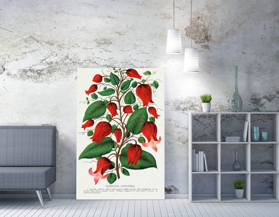 Canvas Wall Art – Red Clematis Artwork | Handmade Floral Picture Print