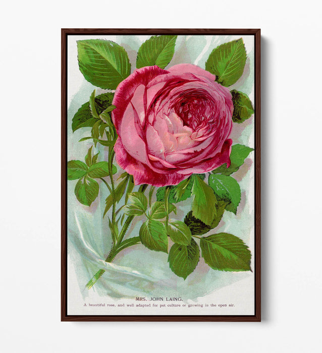 Canvas Wall Art – Pink Rose Print With Float Effect Canvas Frame – Handmade