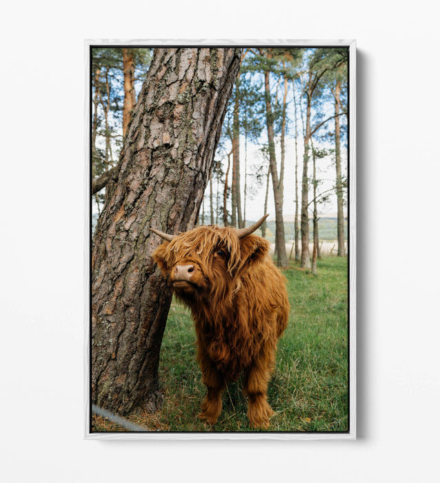Highland Cow Canvas - Cute Animal Print Float Effect Wall Art | Handmade UK