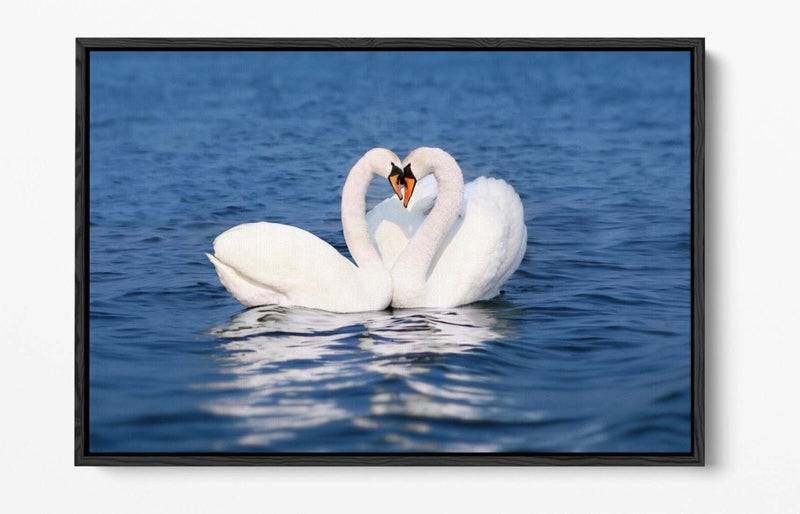 Canvas Wall Art – Swans Kissing Heart Love Print | Float Effect Bedroom Decor