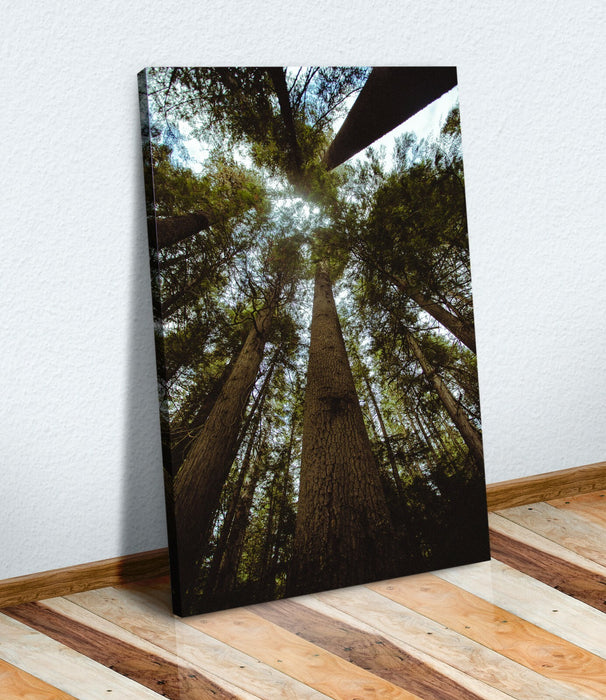 Canvas Wall Art | Forest Canvas Print With Deep Frame - Handmade UK Decor