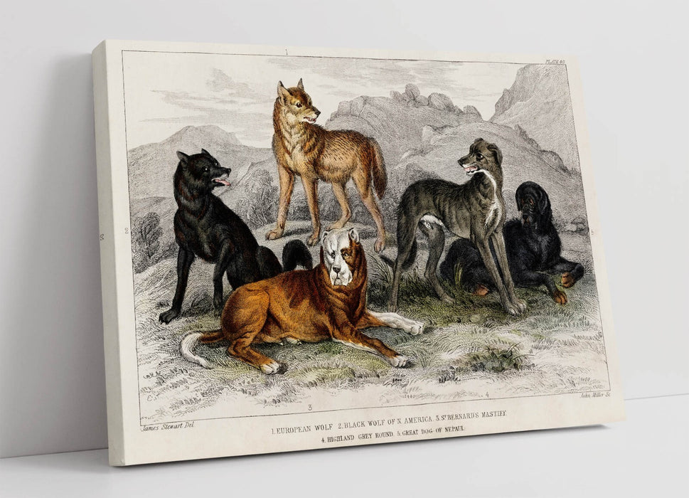 Canvas Wall Art - UK Made Dog Artwork Print on Custom MDF Frame with Ready to Hang Canvas