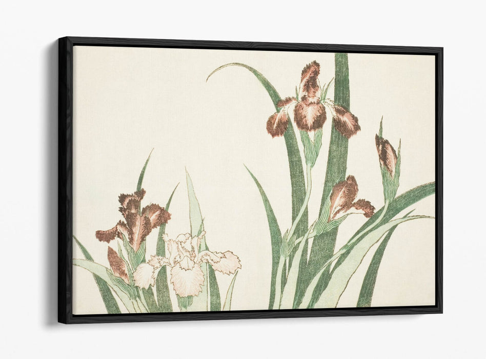 Canvas Wall Art – Katsushika Hokusai Iris Float Effect Canvas Print with Premium Frame
