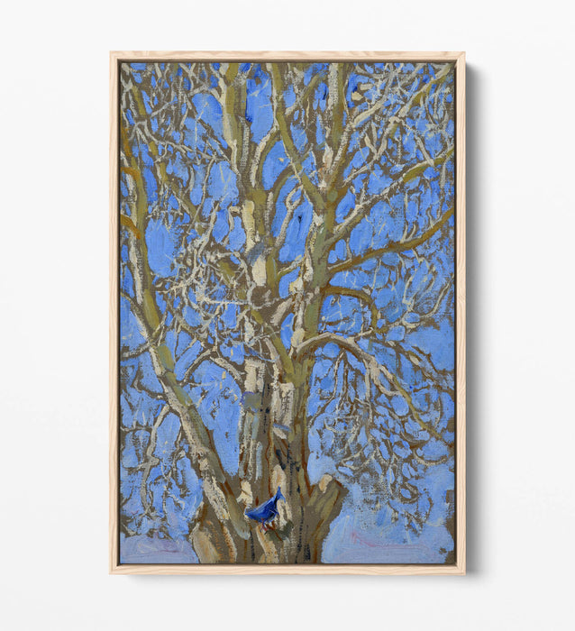 Float Effect Canvas Art - Handmade Bird Canvas Print With Premium 30mm Deep Frame