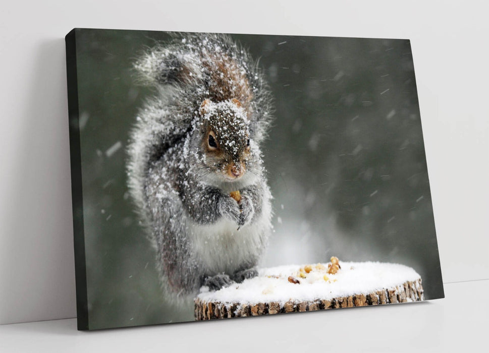 Canvas Wall Art - Cute Squirrel In Snow Wildlife Wall Hanging With Satin Finish