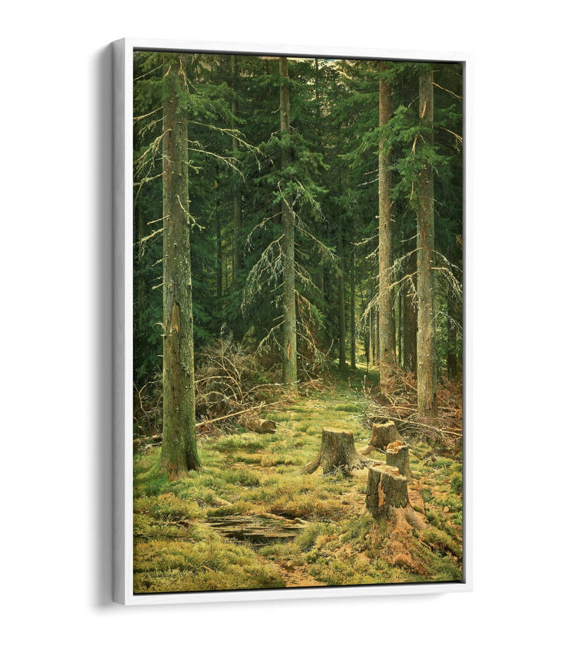 Canvas Wall Art - Ivan Shishkin Coniferous Forest Float Effect Canvas Print