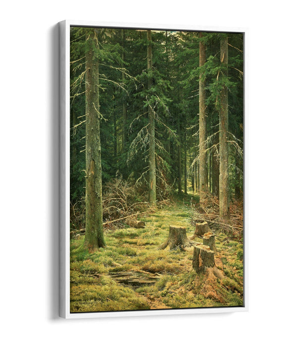 IVAN SHISHKIN, CONIFEROUS FOREST -FLOAT EFFECT CANVAS WALL ART PRINT ARTWORK