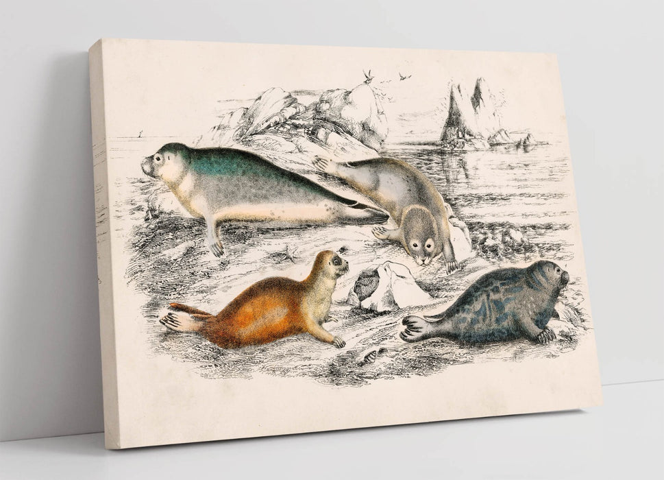 Canvas Wall Art – Oliver Goldsmith Print | Handmade Seal Artwork With UV Resistant Inks