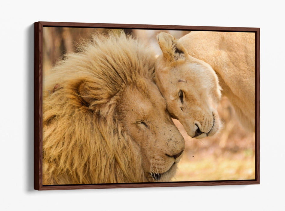 Canvas Wall Art - Lions In Love Float Effect Handmade Bedroom Decor Print
