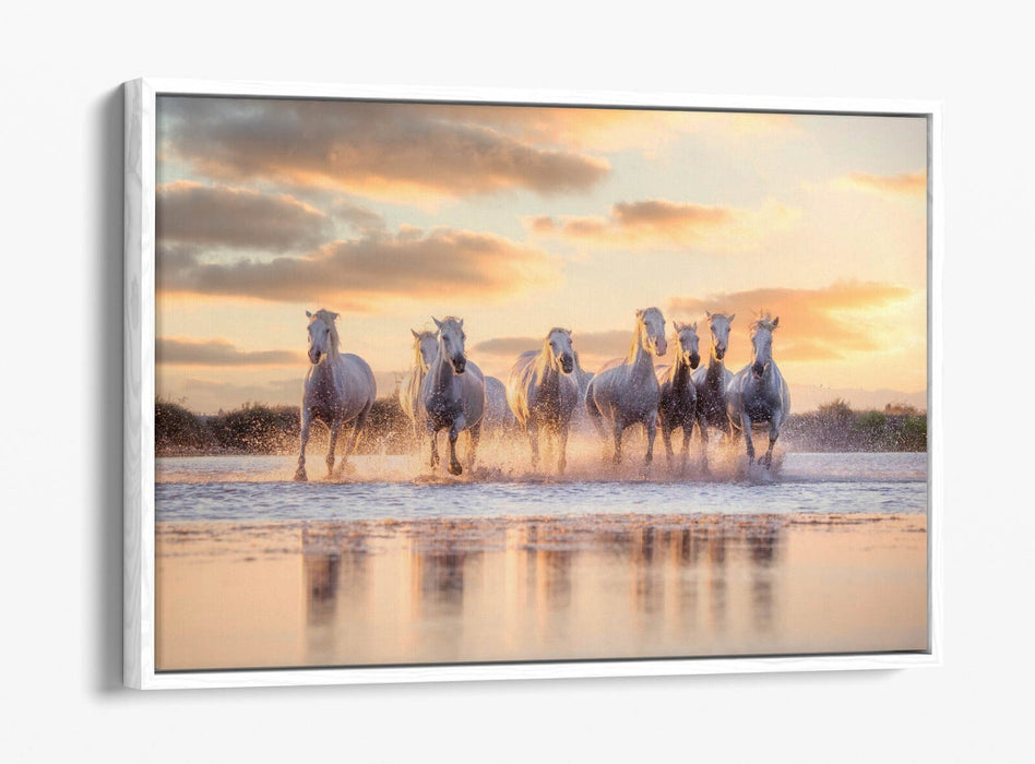 Canvas Wall Art - Wild White Horses Running On Water | Float Effect Canvas Print