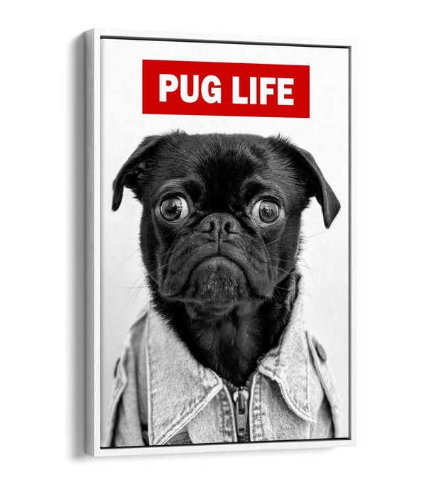 PUG LIFE -FLOAT EFFECT CANVAS WALL ART PIC PRINT GRAFFITI- BLACK & WHITE