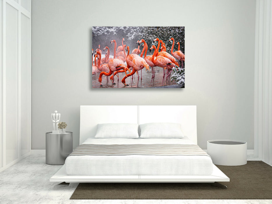 FLAMINGOS  CANVAS WALL ART PICTURE ARTWORK FRAMED PRINT DEEP FRAMED