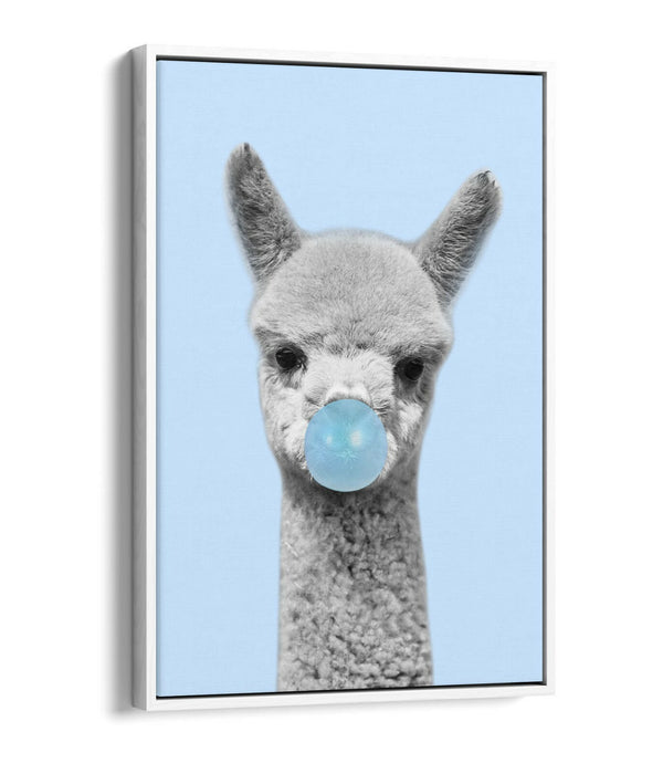ALPACA BLACK WHITE BABY BLUE BUBBLEGUM FLOAT EFFECT CANVAS WALL ART PIC PRINT