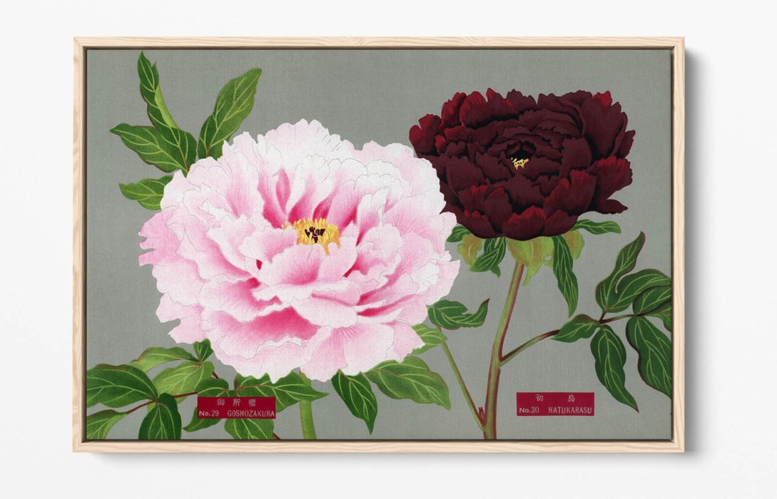 Vintage Canvas Wall Art – Peony Blossom Decor With Float Effect Frame, Handmade UK