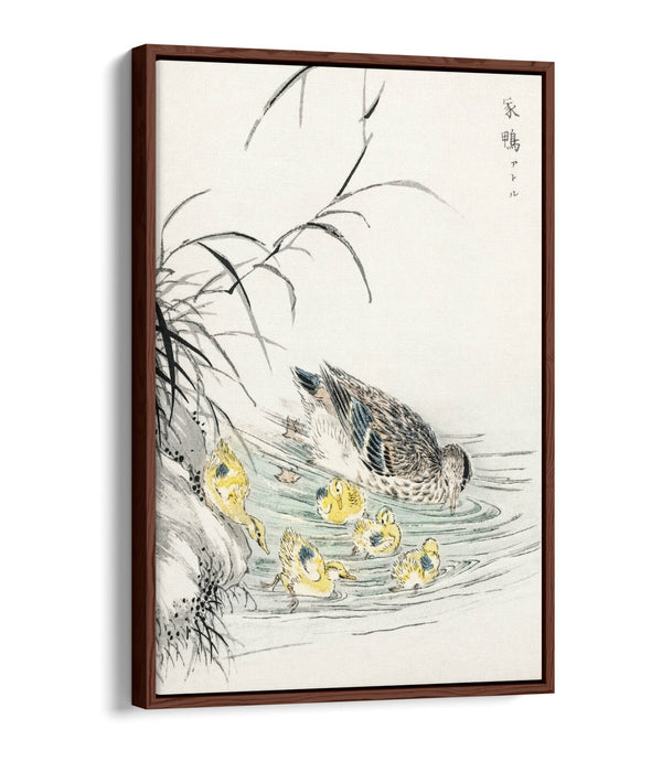 Canvas Wall Art Print - Duck and Ducklings Float Effect on Premium 30mm Deep Frame
