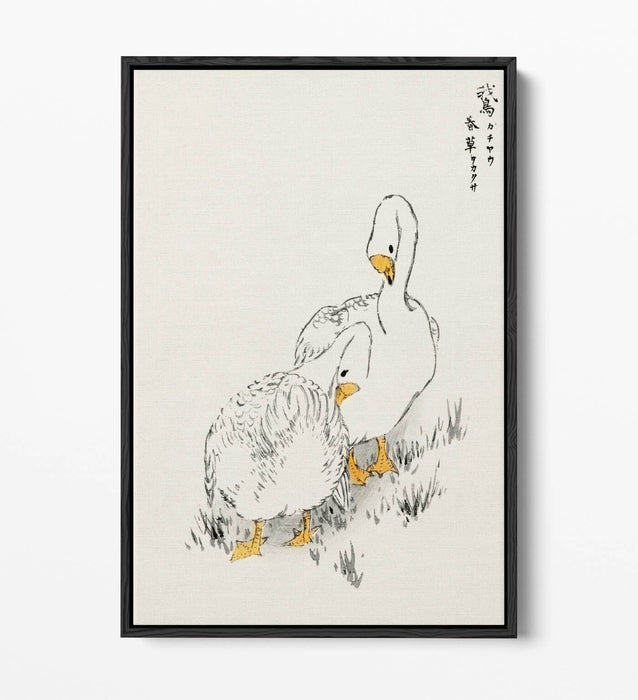 Canvas Wall Art Print – Duck And Young Grass On Float Effect Canvas Frame