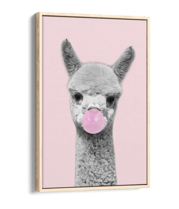 ALPACA BLACK WHITE BABY PINK BUBBLEGUM FLOAT EFFECT CANVAS WALL ART PIC PRINT