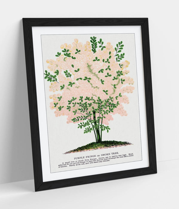 Framed Wall Art Poster - Purple Fringe Tree Print | Handmade UK Wall Art, Matte Paper