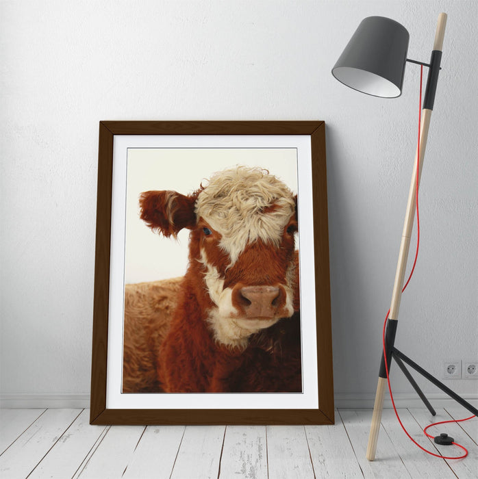 Framed Wall Art - Brown White Cow Poster With Rustic Wood Frame, Matte Paper Print